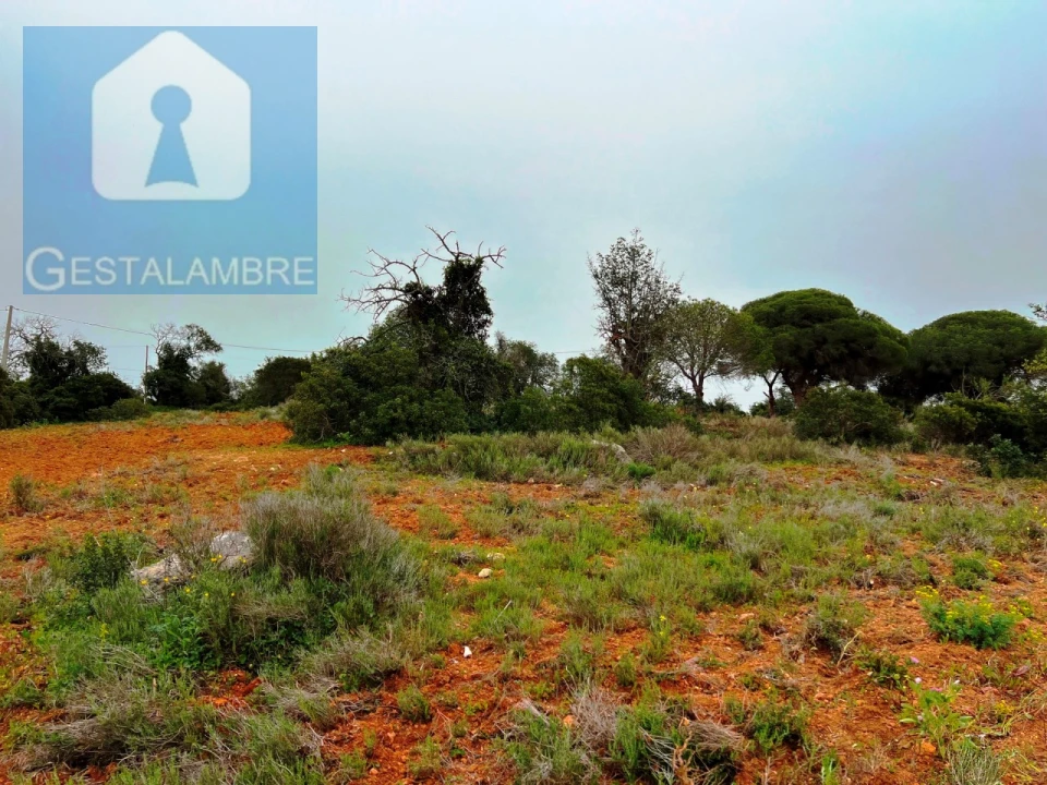 Terreno Misto para Venda em Guia Foto 4