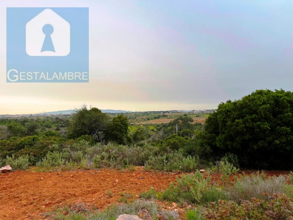 Terreno Misto para Venda em Guia Foto 6