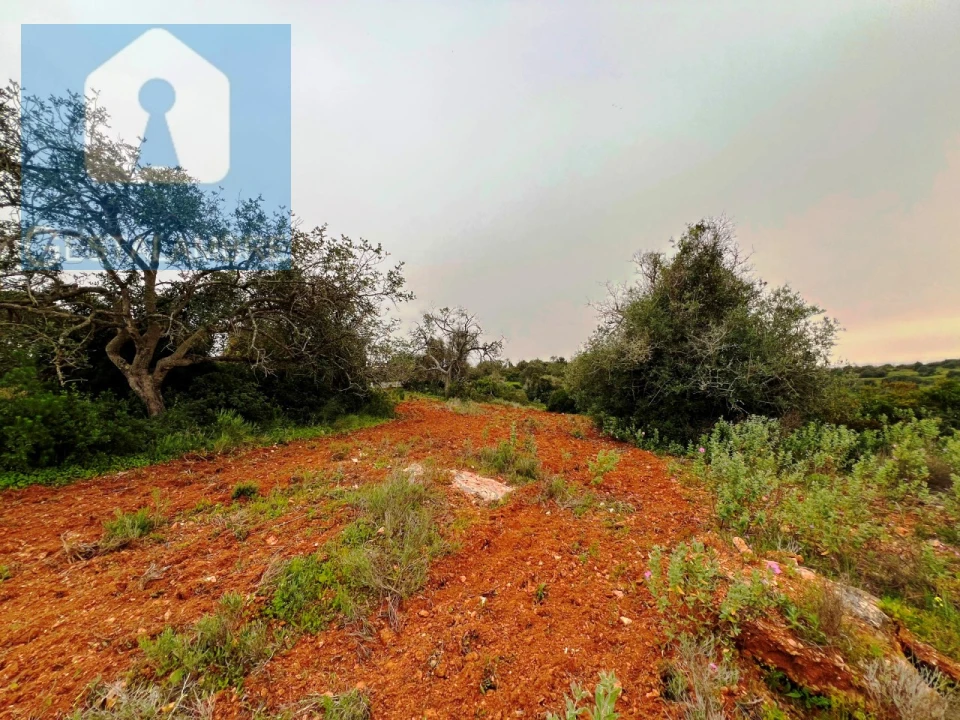 Terreno Misto para Venda em Guia Foto 7