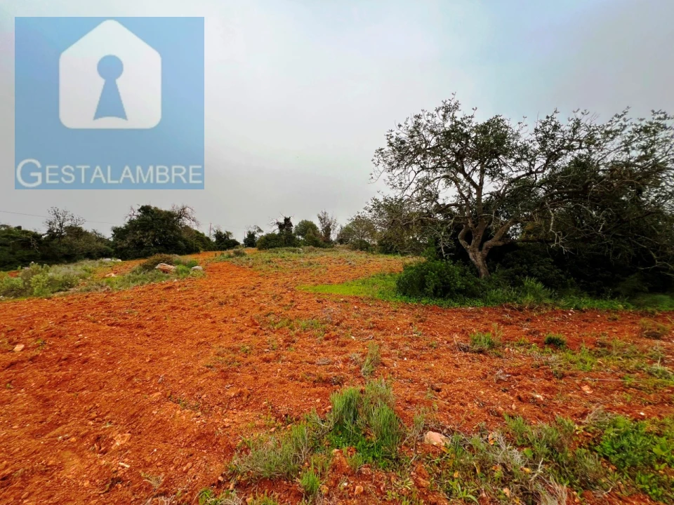 Terreno Misto para Venda em Guia Foto 9