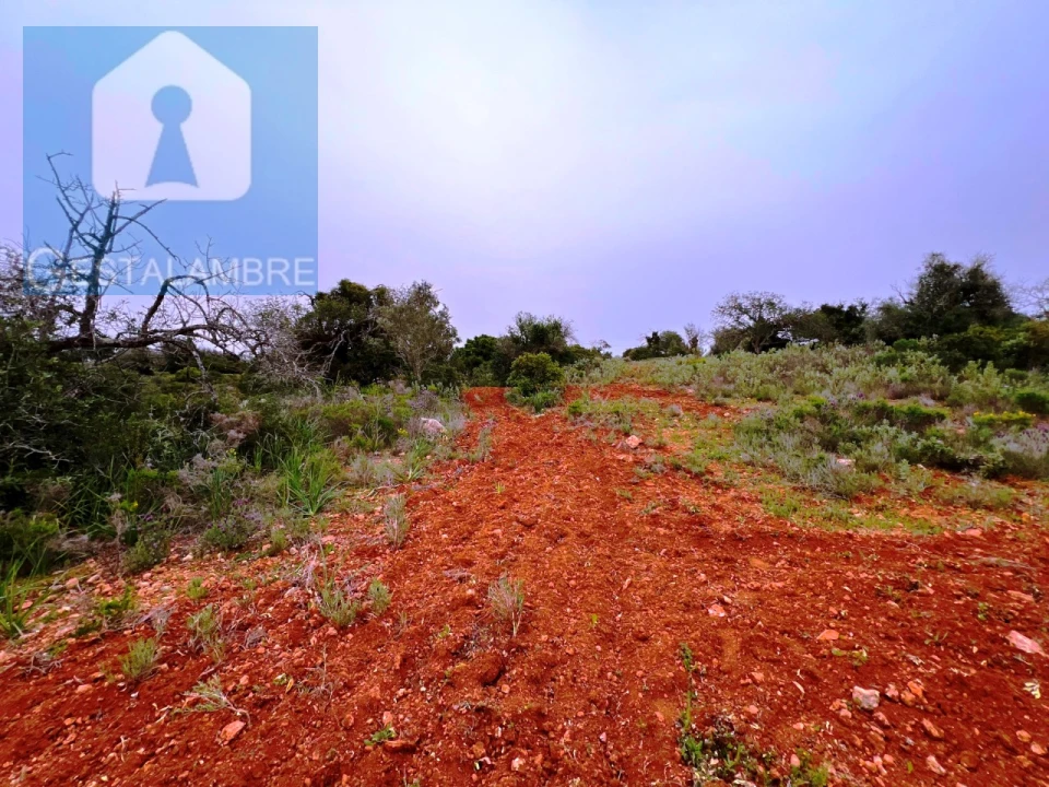 Terreno Misto para Venda em Guia Foto 11