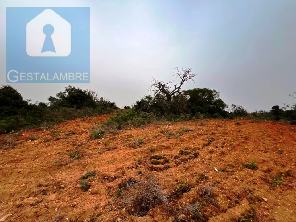 Terreno Misto para Venda em Guia Foto 12