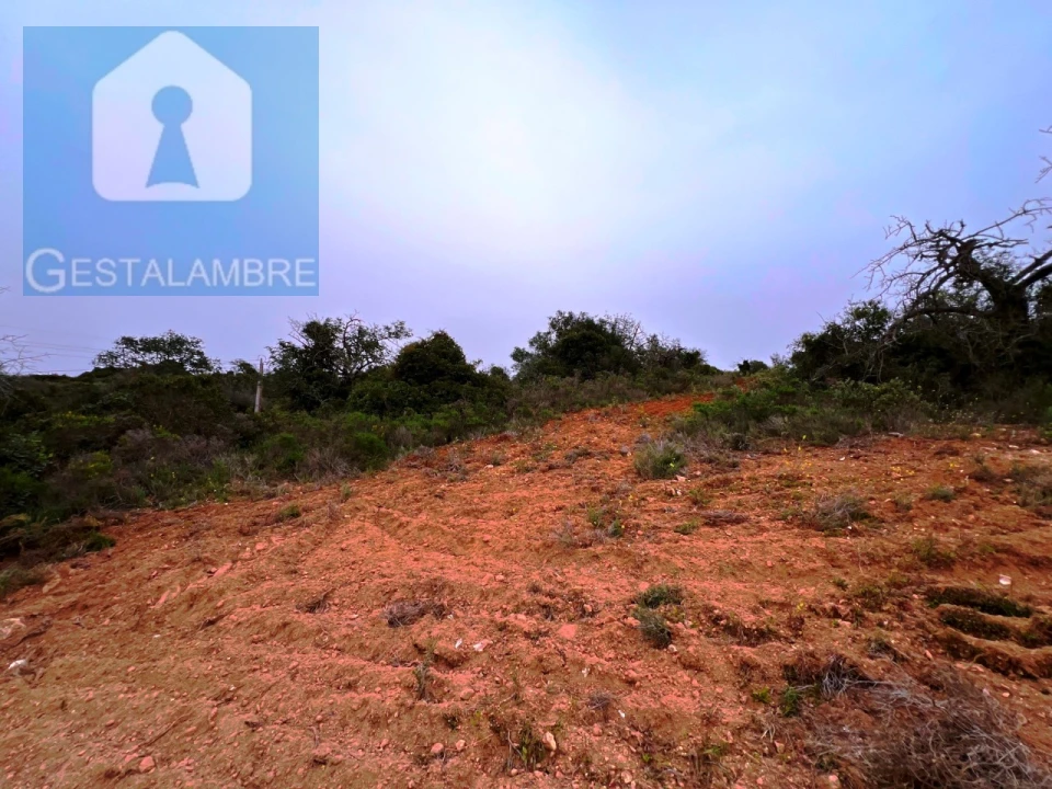 Terreno Misto para Venda em Guia Foto 13