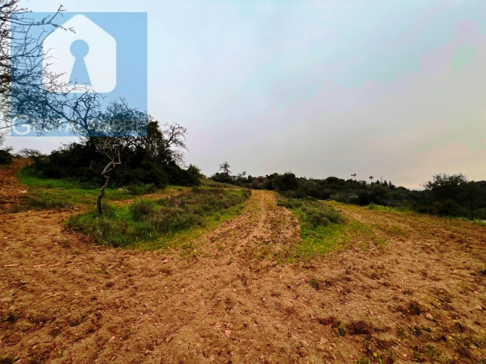 Terreno Misto para Venda em Guia Foto 19