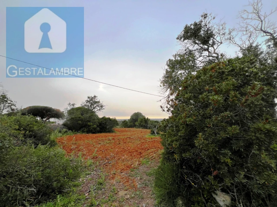 Terreno Misto para Venda em Guia Foto 25