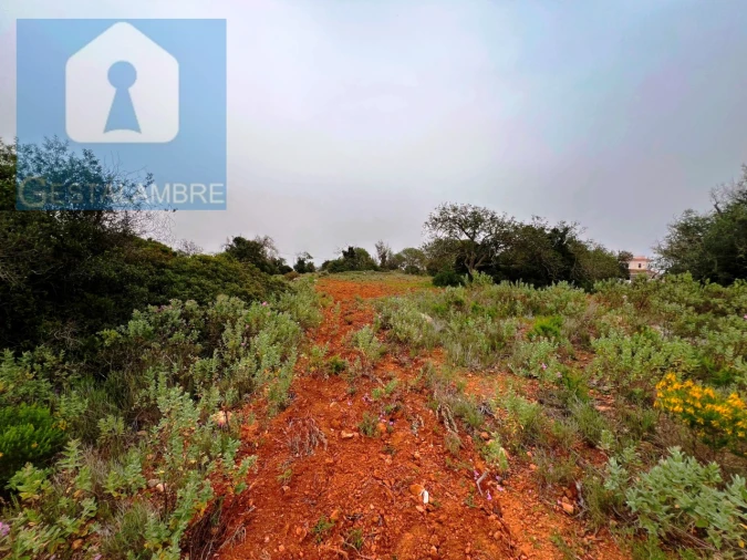Terreno Misto para Venda em Guia Foto 10