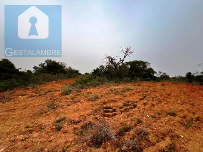 Terreno Misto para Venda em Guia Foto 12