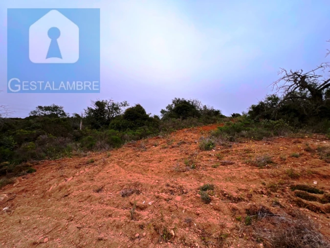 Terreno Misto para Venda em Guia Foto 13