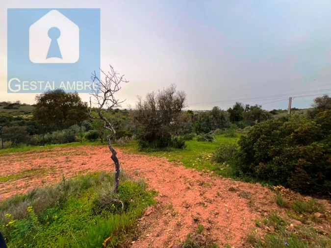 Terreno Misto para Venda em Guia Foto 17