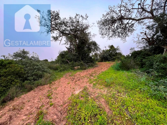 Terreno Misto para Venda em Guia Foto 18