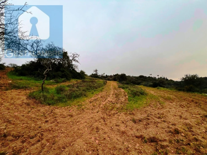 Terreno Misto para Venda em Guia Foto 19