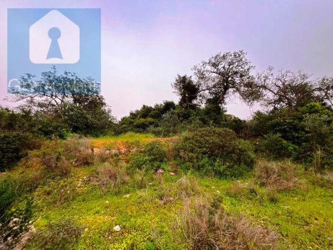 Terreno Misto para Venda em Guia Foto 21