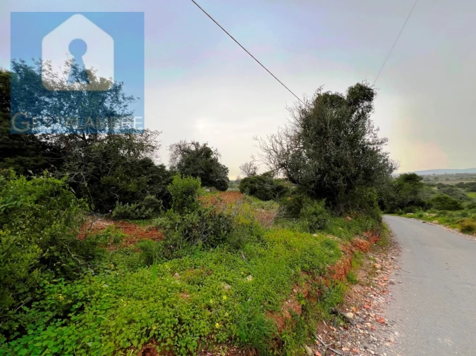 Terreno Misto para Venda em Guia Foto 23