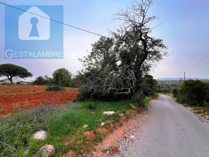 Terreno Misto para Venda em Guia Foto 24