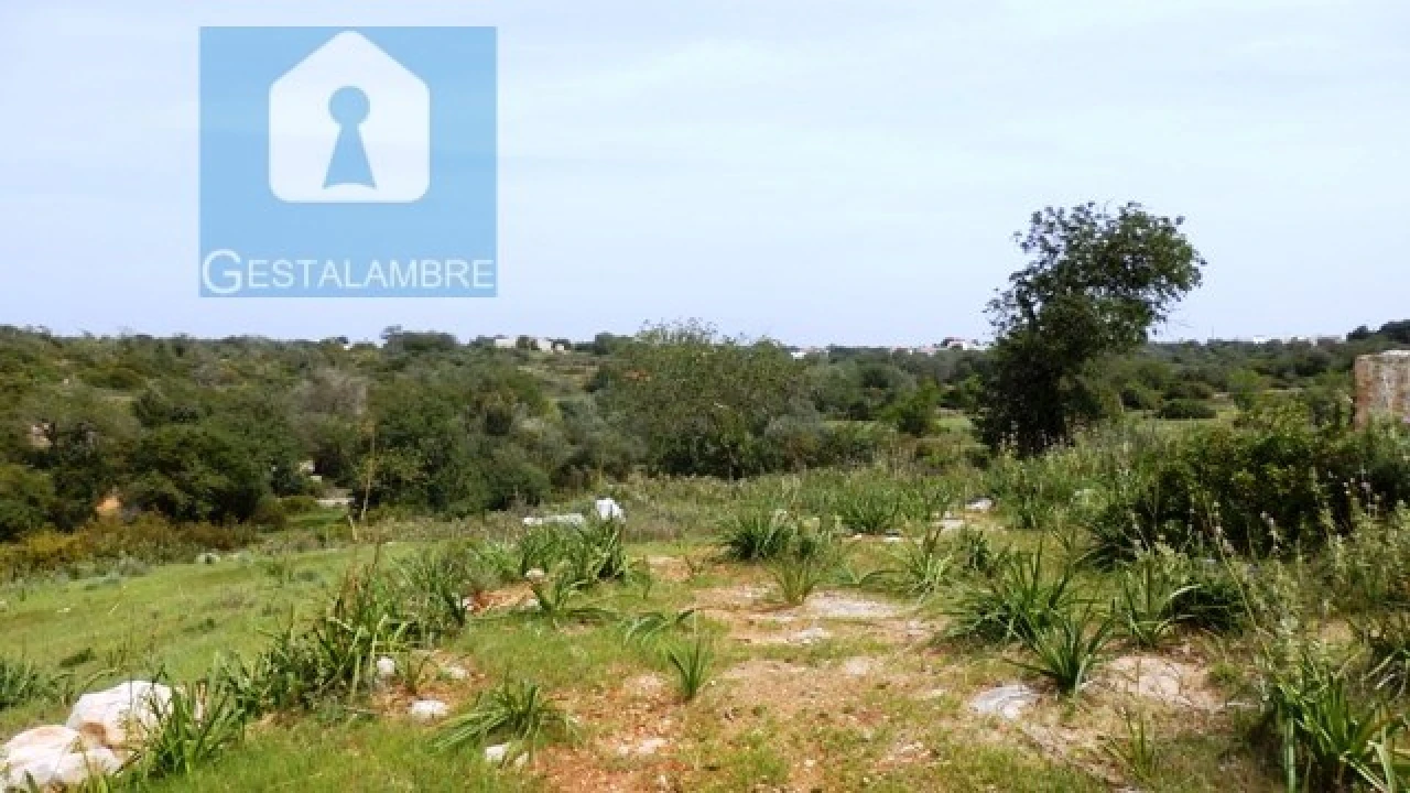 Terreno Misto para Venda em Guia Foto 1