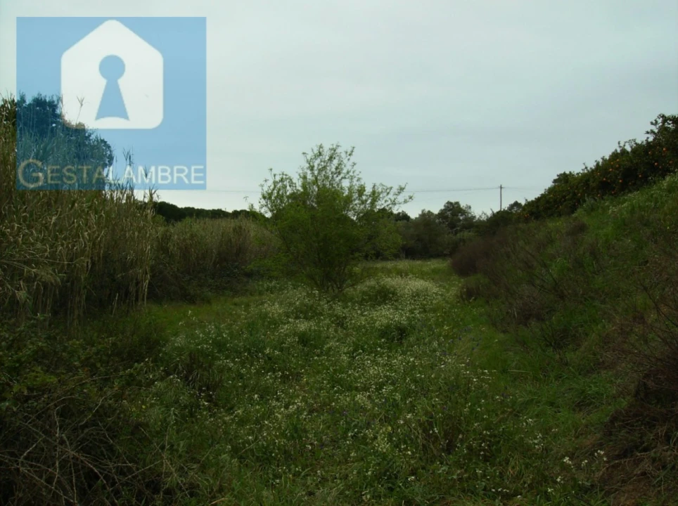 Terreno para Venda em Albufeira e Olhos de Água Foto 3