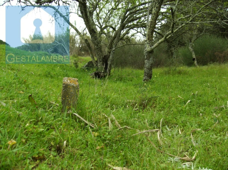 Terreno para Venda em Albufeira e Olhos de Água Foto 1