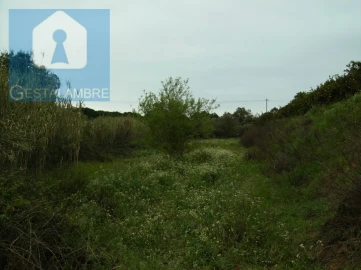 Terreno para Venda em Albufeira e Olhos de Água