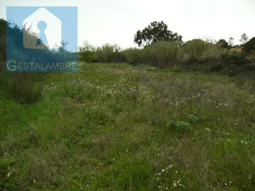 Terreno para Venda em Albufeira e Olhos de Água