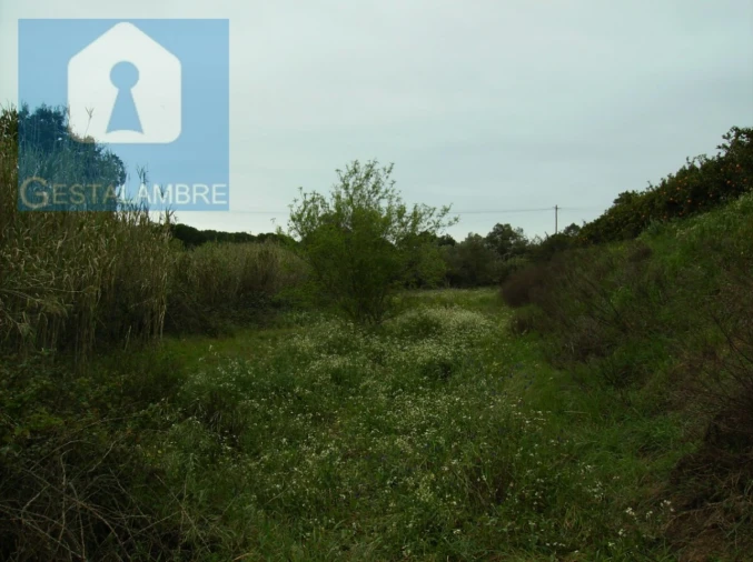 Terreno para Venda em Albufeira e Olhos de Água Foto 3