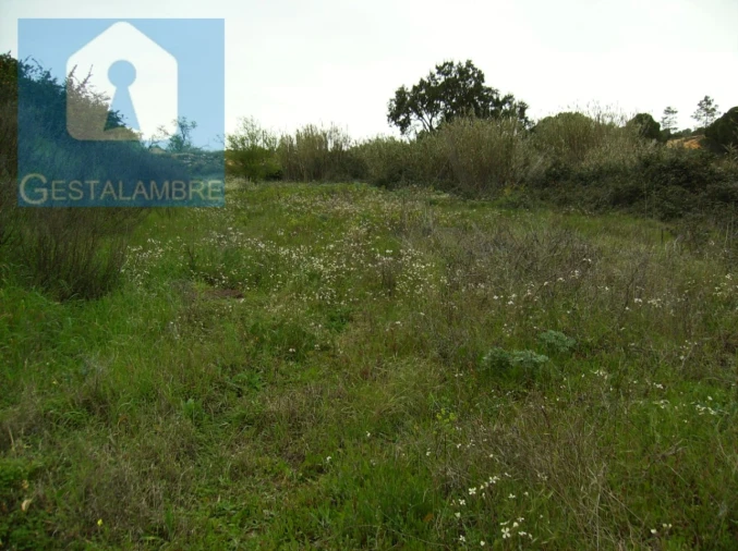 Terreno para Venda em Albufeira e Olhos de Água Foto 2