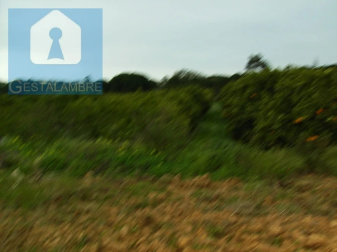 Terreno para Venda em Albufeira e Olhos de Água Foto 4