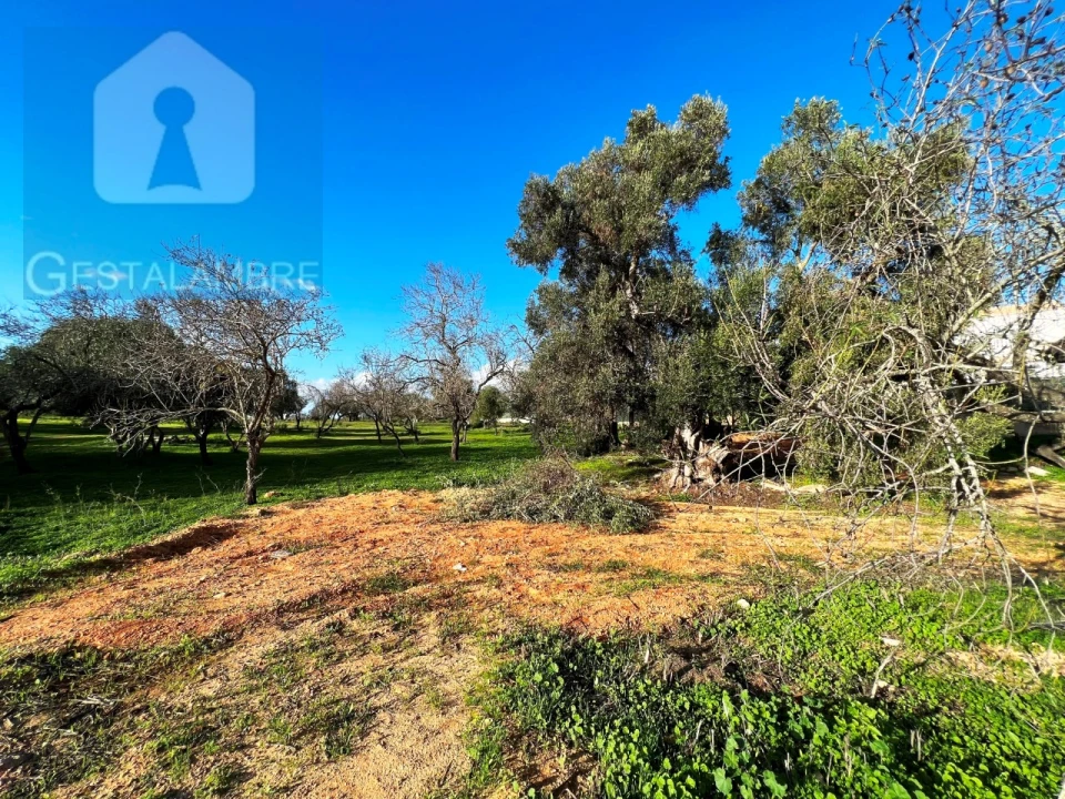 Terreno para Venda em Albufeira e Olhos de Água Foto 1