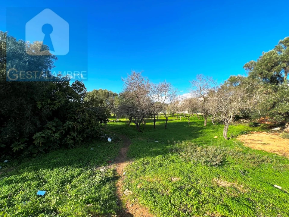 Terreno para Venda em Albufeira e Olhos de Água Foto 4