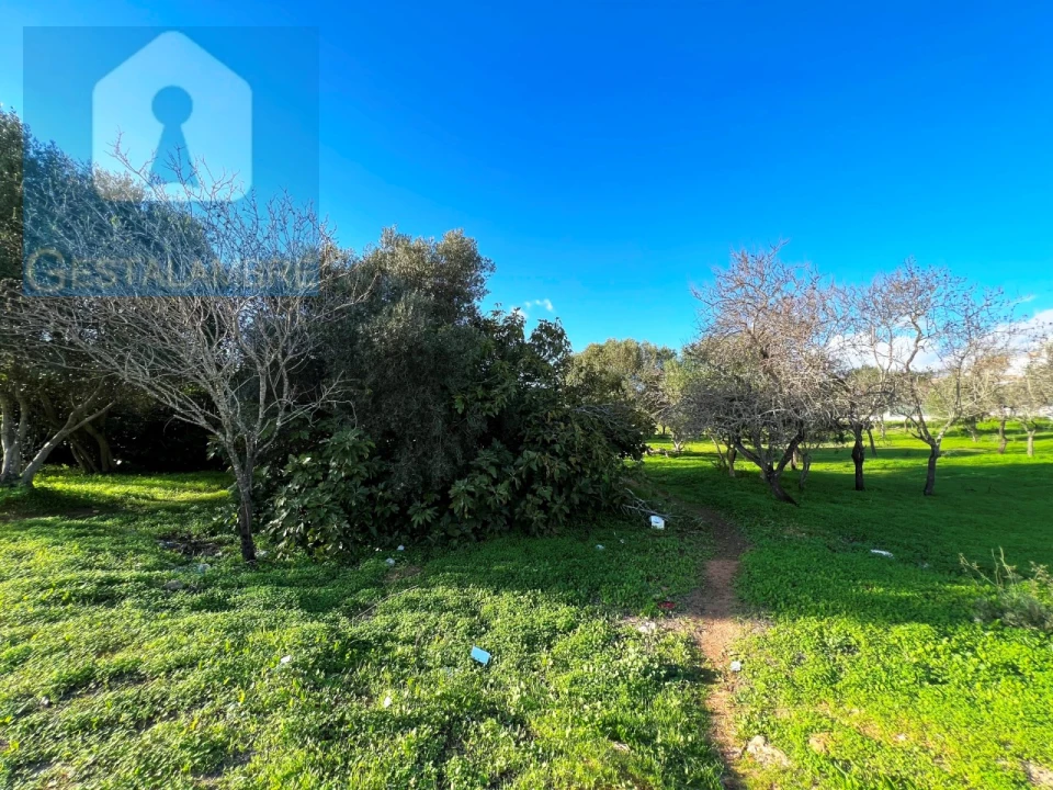 Terreno para Venda em Albufeira e Olhos de Água Foto 5