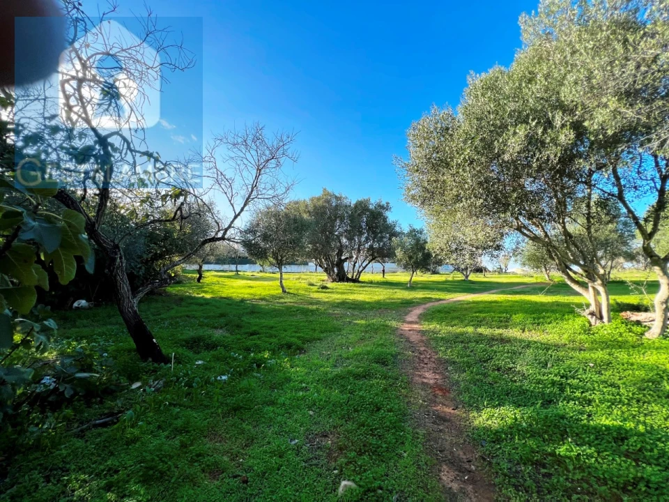 Terreno para Venda em Albufeira e Olhos de Água Foto 6