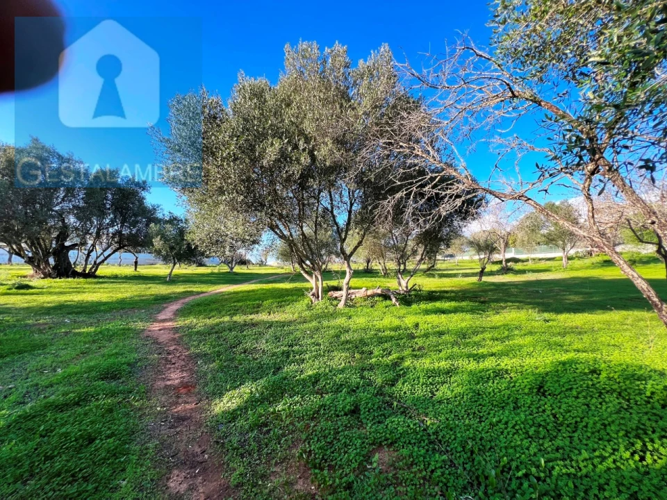 Terreno para Venda em Albufeira e Olhos de Água Foto 7