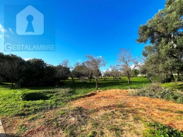 Terreno para Venda em Albufeira e Olhos de Água