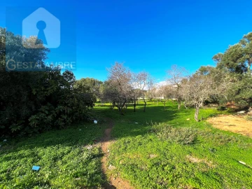 Terreno para Venda em Albufeira e Olhos de Água