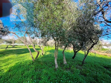 Terreno para Venda em Albufeira e Olhos de Água