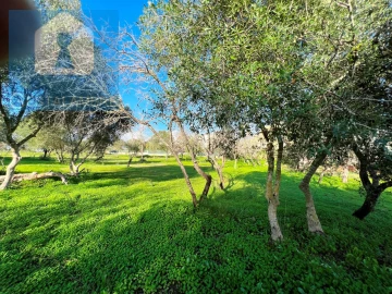 Terreno para Venda em Albufeira e Olhos de Água