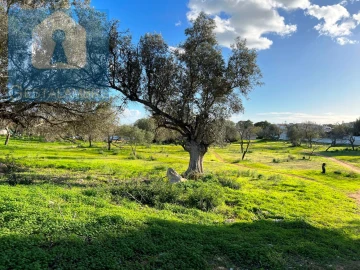 Terreno para Venda em Albufeira e Olhos de Água