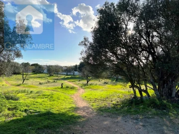 Terreno para Venda em Albufeira e Olhos de Água