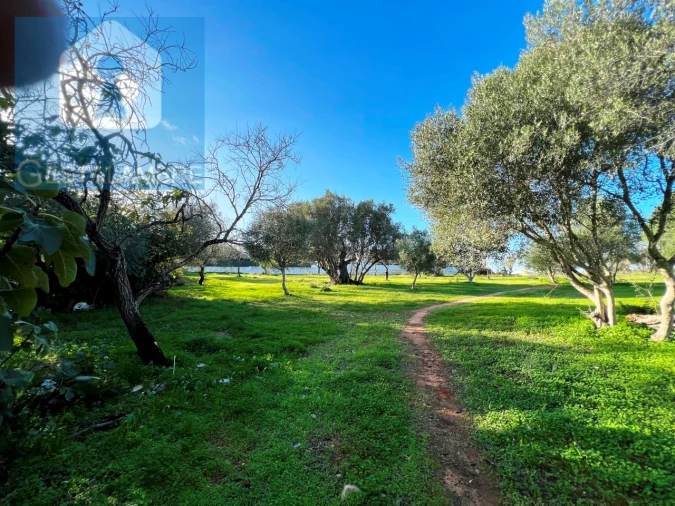 Terreno para Venda em Albufeira e Olhos de Água Foto 6