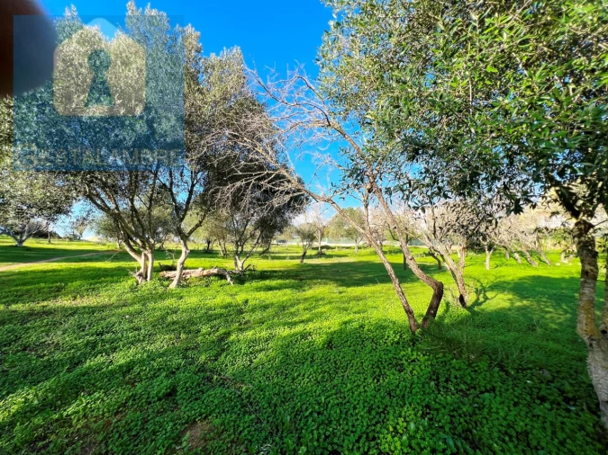 Terreno para Venda em Albufeira e Olhos de Água Foto 8