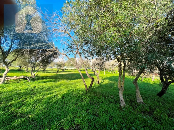 Terreno para Venda em Albufeira e Olhos de Água Foto 10