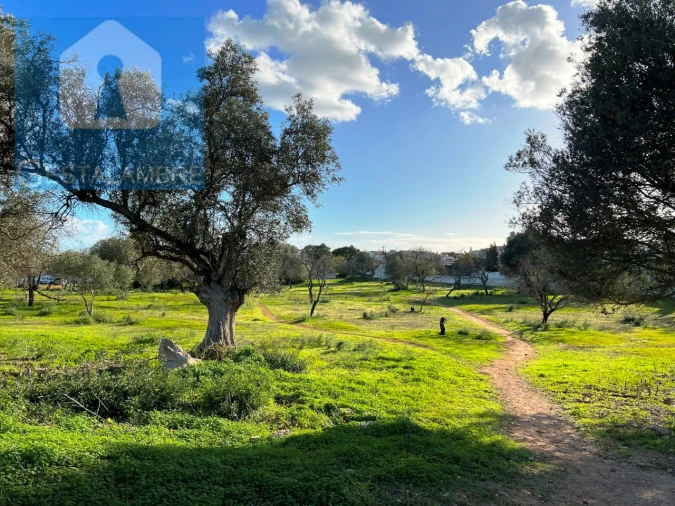 Terreno para Venda em Albufeira e Olhos de Água Foto 12