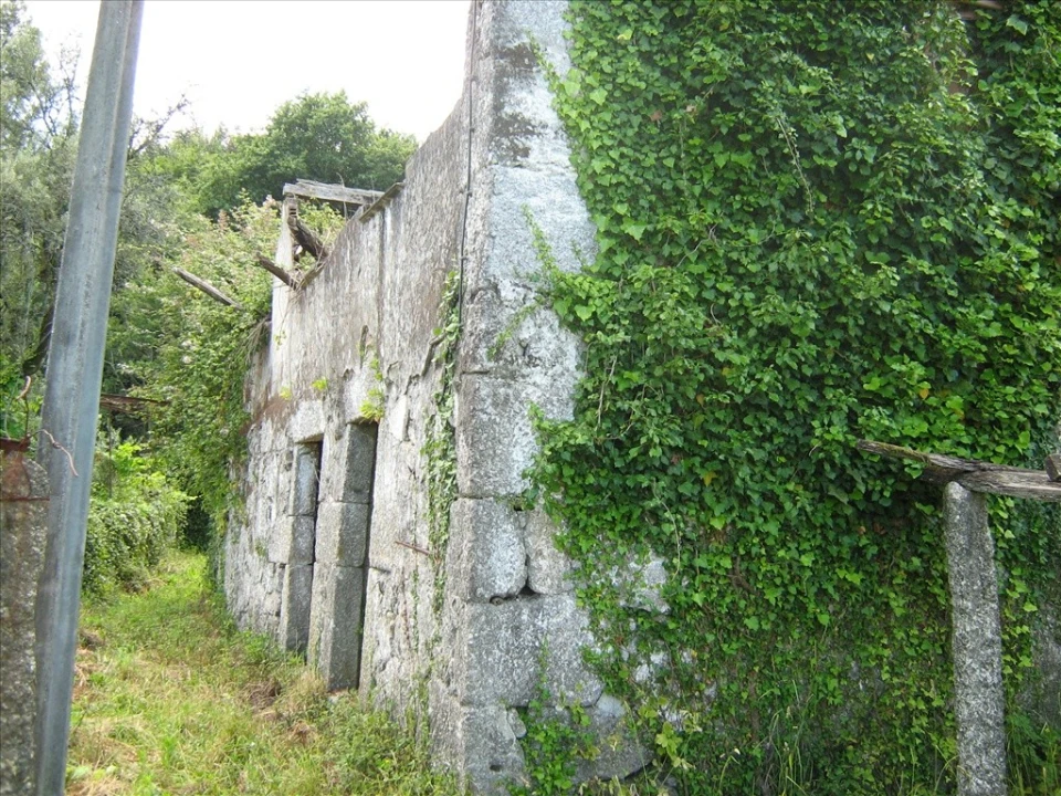 Quinta T5 para Venda em São Jorge e Ermelo Foto 21