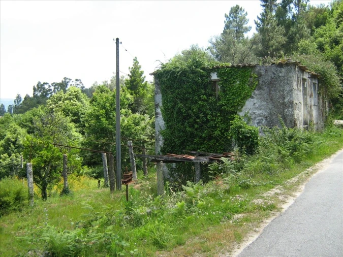Quinta T5 para Venda em São Jorge e Ermelo Foto 18