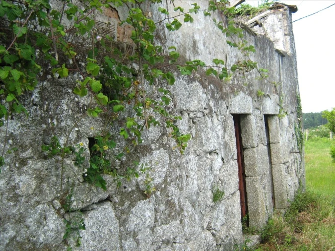 Quinta T5 para Venda em São Jorge e Ermelo Foto 4
