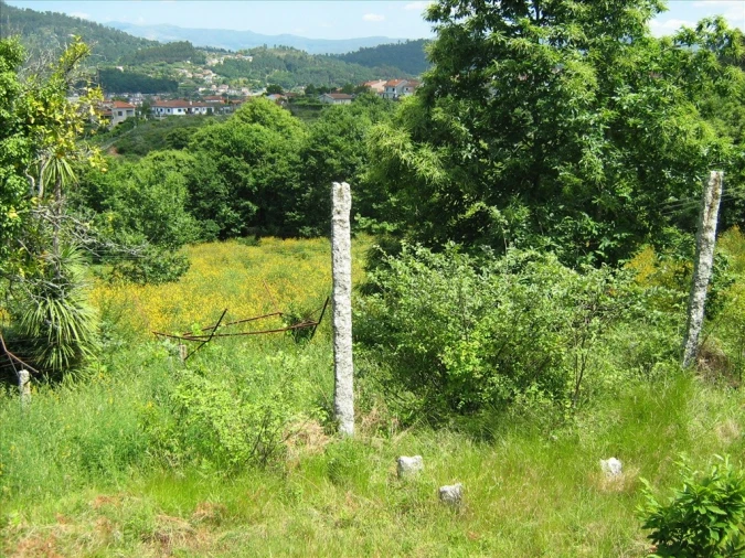 Quinta T5 para Venda em São Jorge e Ermelo Foto 24
