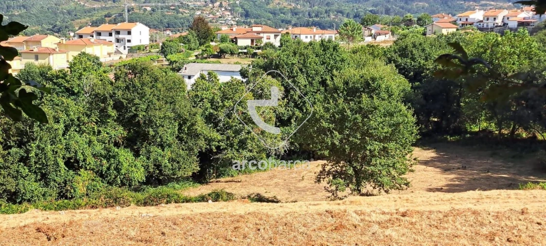 Quinta T5 para Venda em São Jorge e Ermelo Foto 30