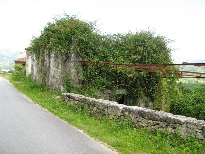 Quinta T5 para Venda em São Jorge e Ermelo Foto 22