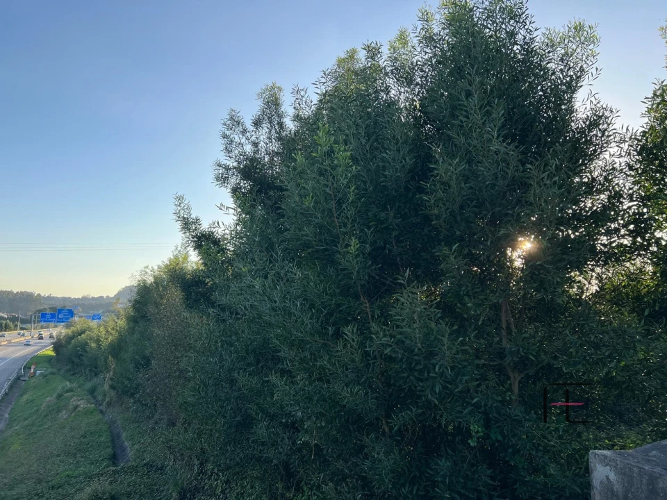 Terreno para Venda em Vilar de Andorinho Foto 8