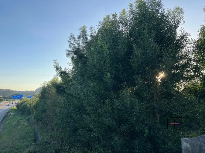 Terreno para Venda em Vilar de Andorinho Foto 8