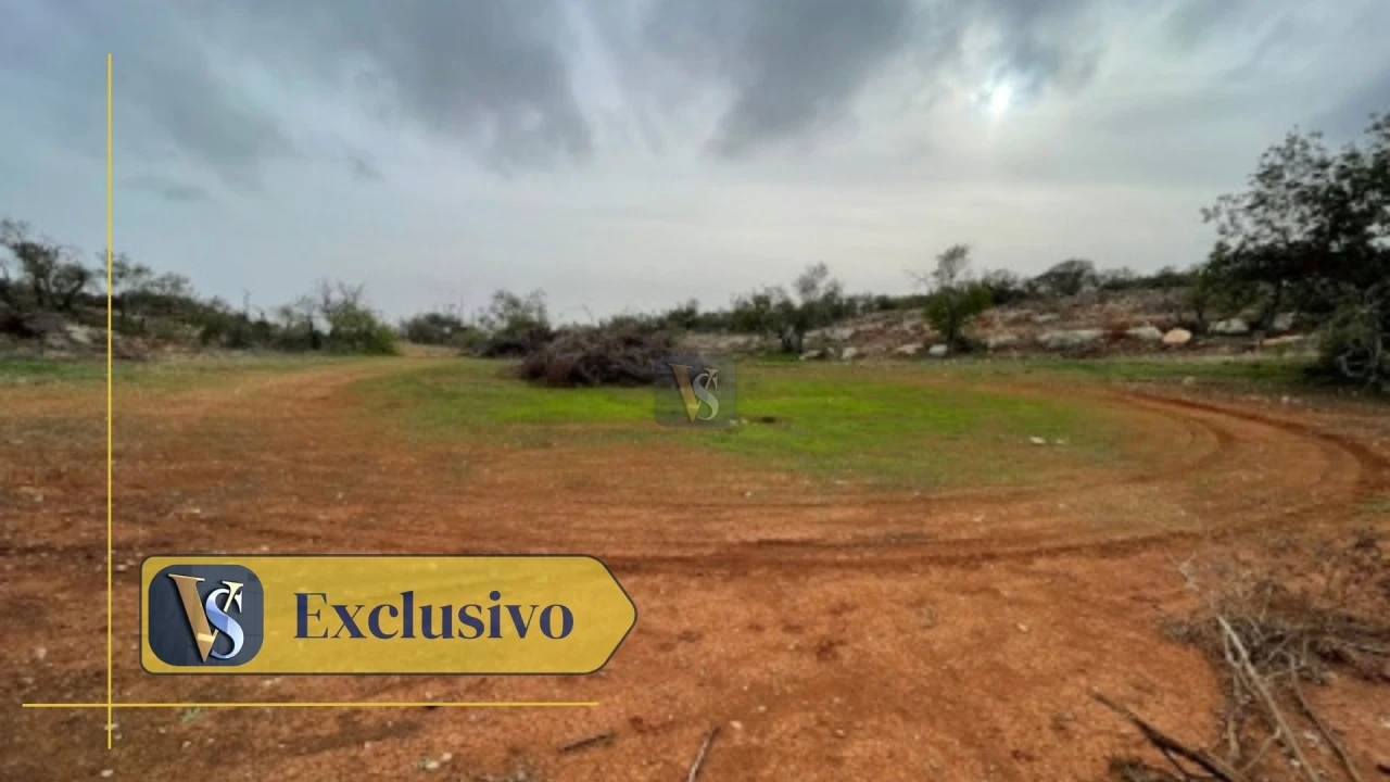 Terreno Agricola ou Rústico para Venda em Conceição e Estoi Foto 1